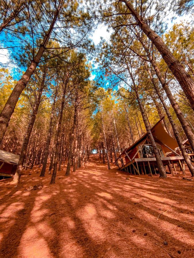 Tedesco Ecopark São Francisco de Paula