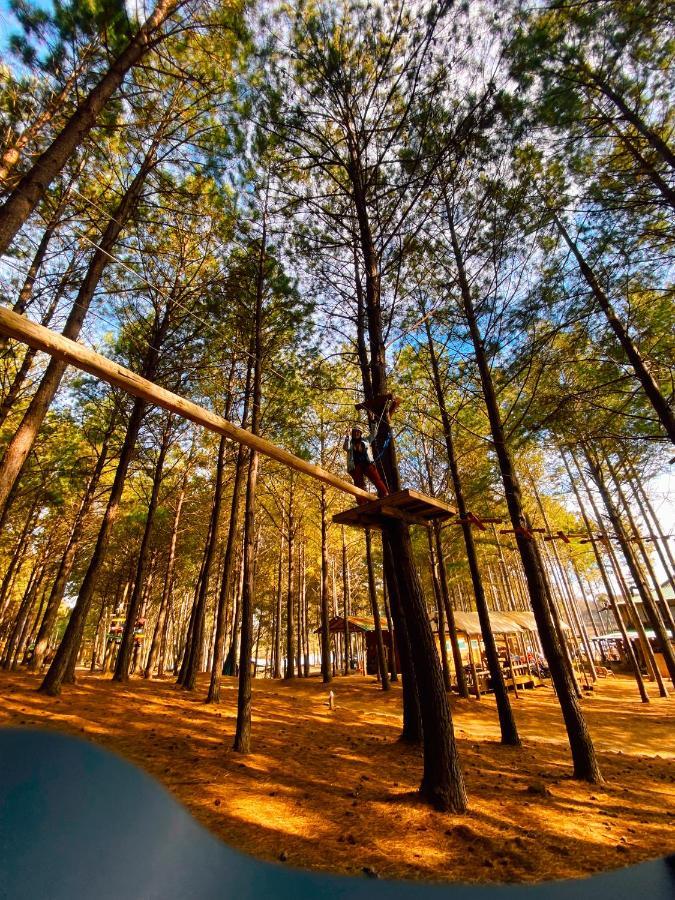 Tedesco Ecopark São Francisco de Paula