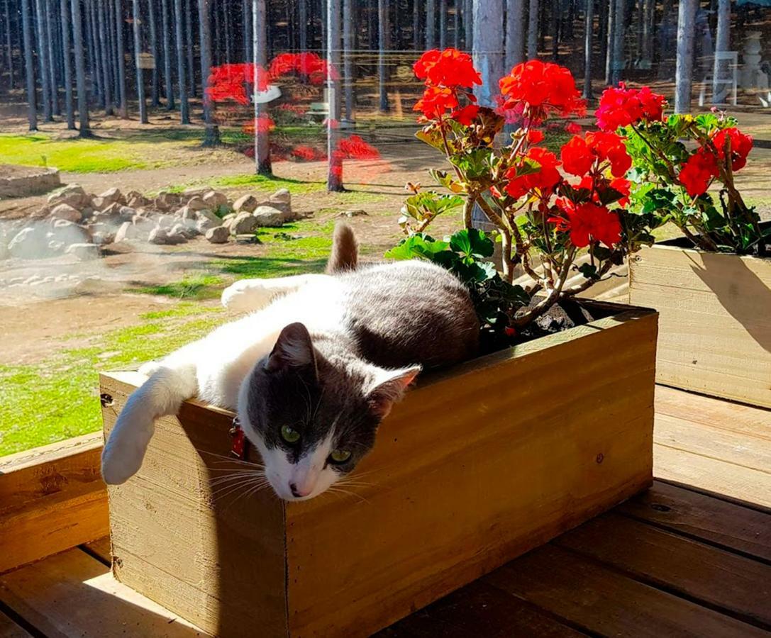 Tedesco Eco Park 3* São Francisco de Paula